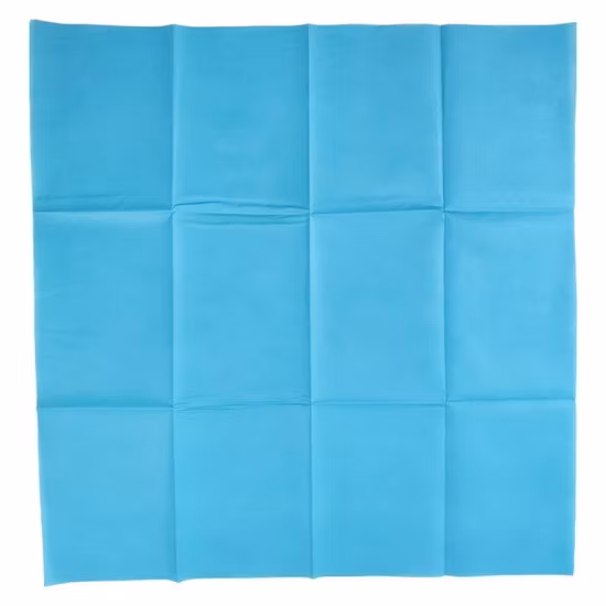 Cleanroom Sterile Collection Antigen Vtm Transport Test Disposable Non-Woven Dacron Flock Lungene Nasal Collection Swab